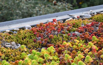 the cost of Craighead green roof installation