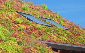 Craighead living roof systems