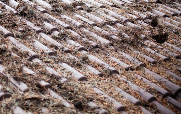 Craighead roof cleaning companies