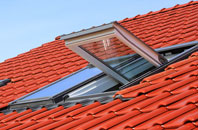 Craighead roof window